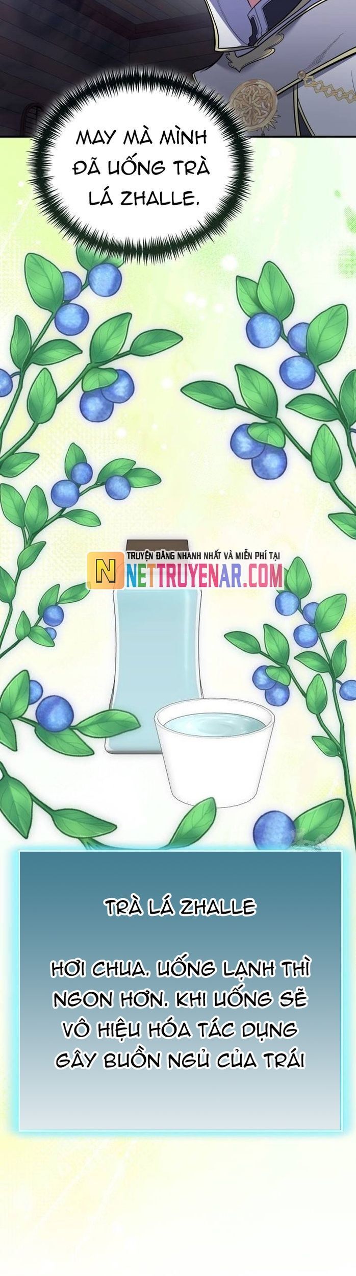 Làm Sao Sống Như Một Trị Liệu Sư Ngầm? Chương 112 Ảnh 4