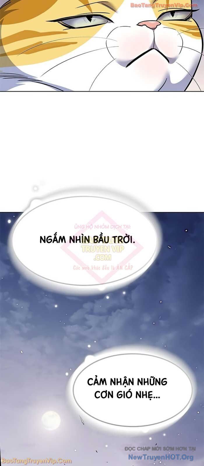 Biến Thân Thành Mèo Chương 364 Ảnh 43