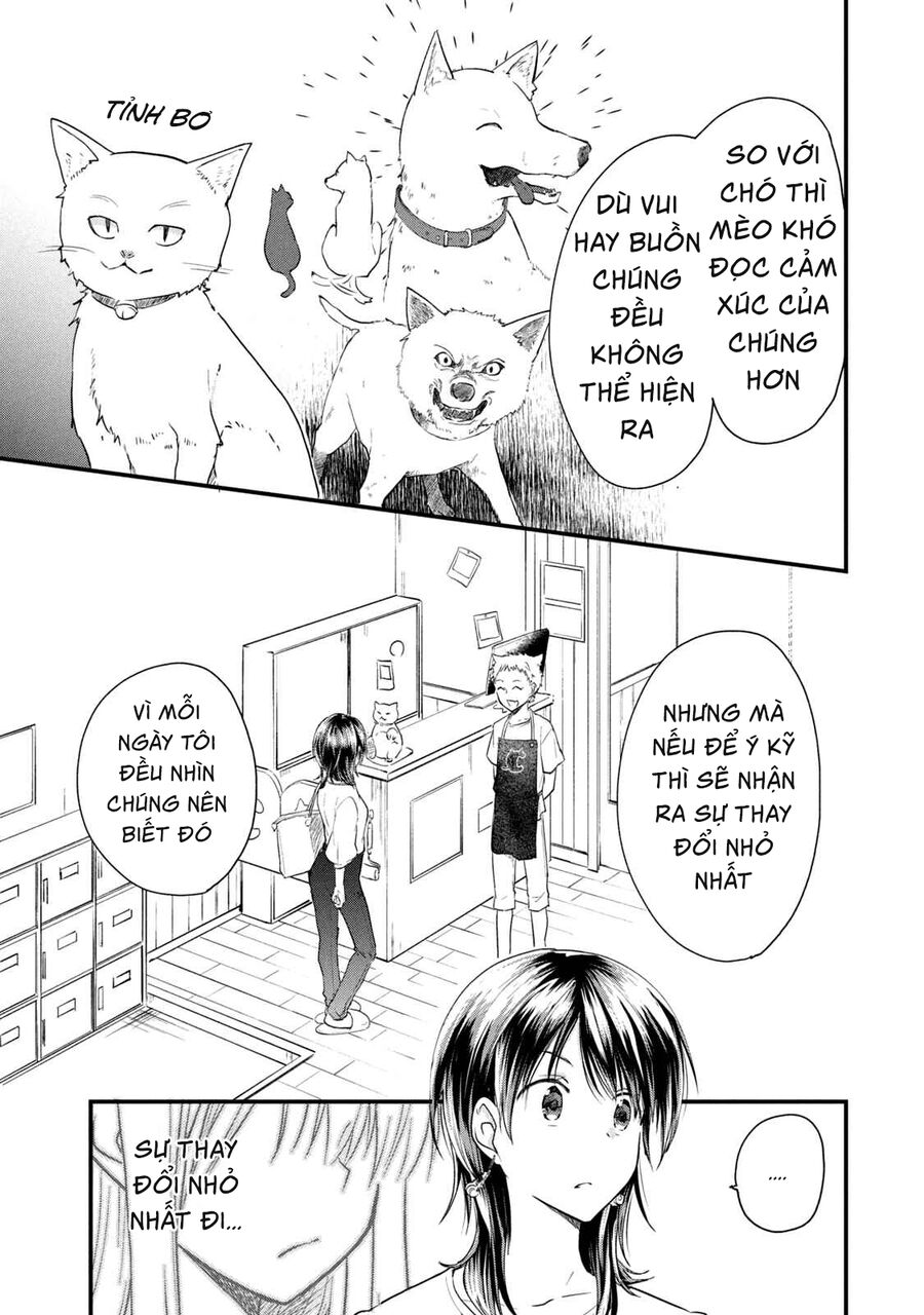 Bé Mèo Đang Chờ Tôi Ở Nhà Chương 8 Ảnh 18