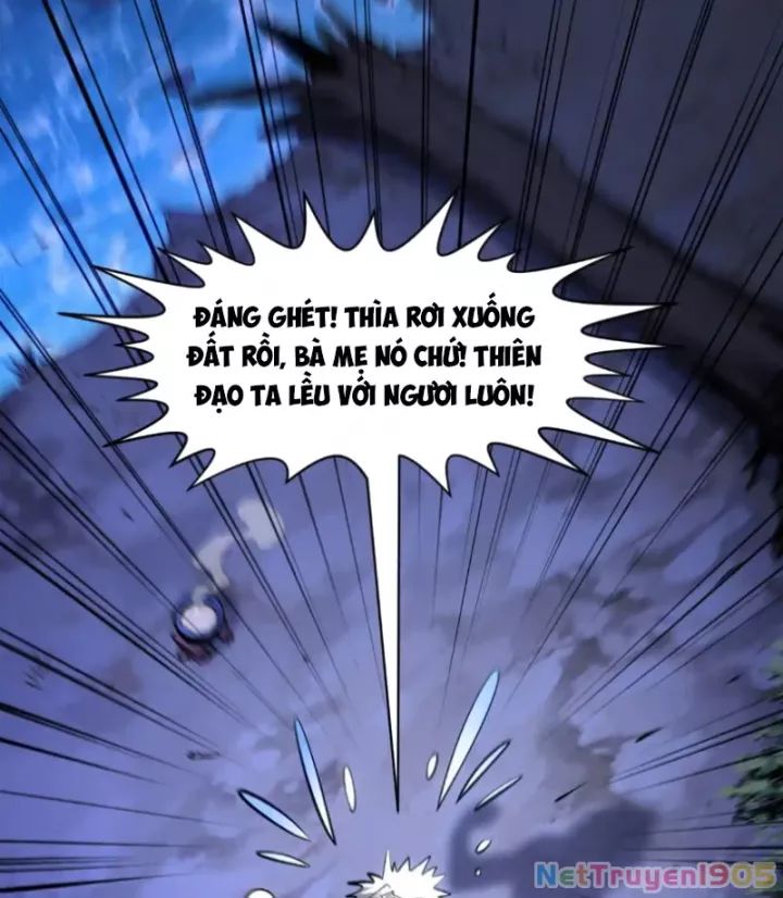 Đỉnh Cấp Khí Vận, Lặng Lẽ Tu Luyện Ngàn Năm Chương 271 Ảnh 97