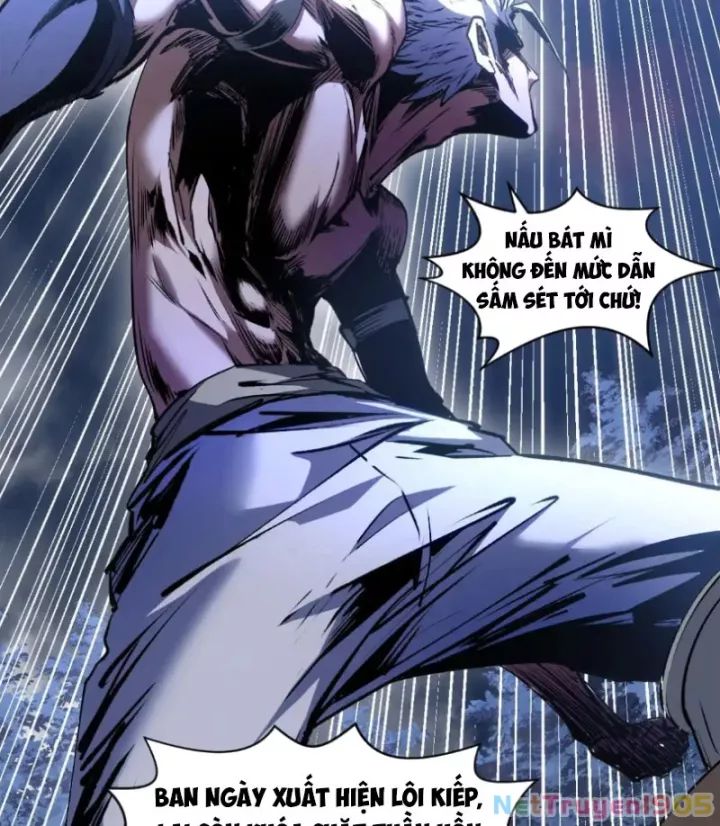 Đỉnh Cấp Khí Vận, Lặng Lẽ Tu Luyện Ngàn Năm Chương 271 Ảnh 95