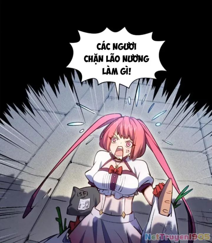 Đỉnh Cấp Khí Vận, Lặng Lẽ Tu Luyện Ngàn Năm Chương 271 Ảnh 60