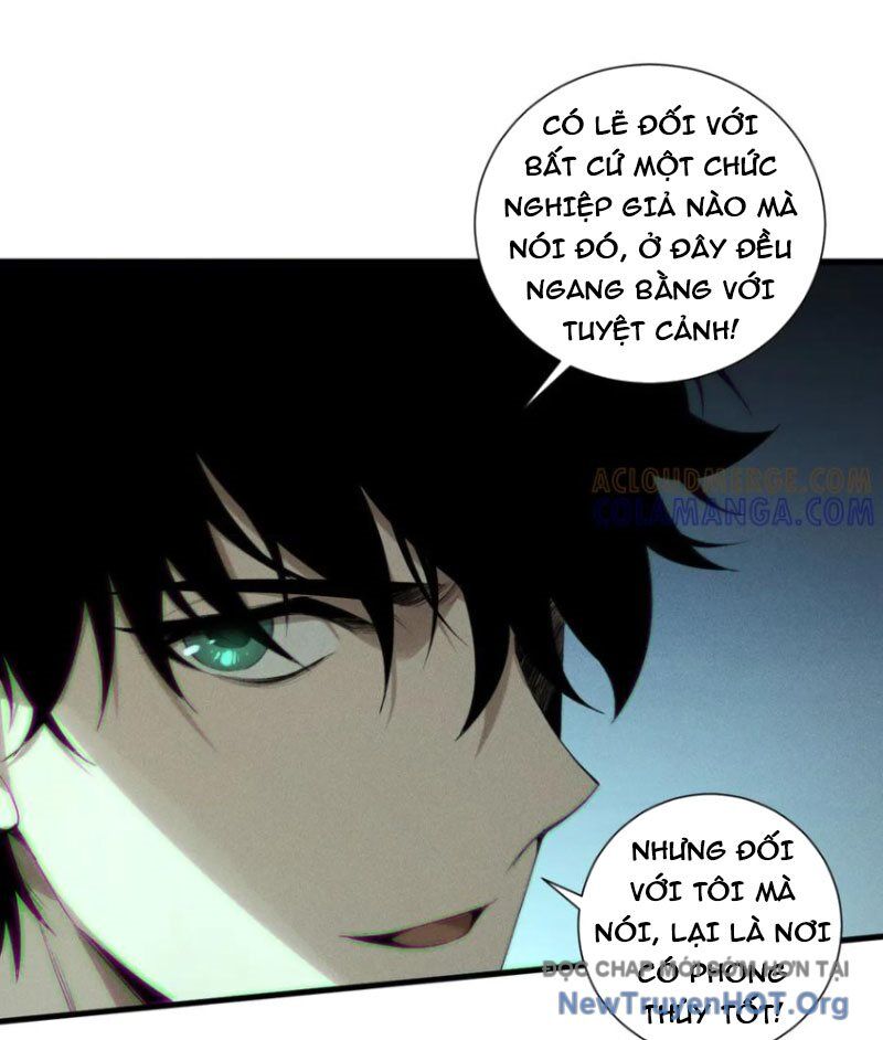 Thảm Họa Tử Linh Sư Chương 208 Ảnh 45