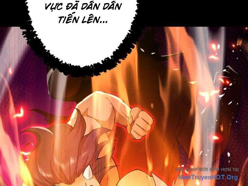 Gặp Mạnh Thì Càng Mạnh, Tu Vi Của Ta Không Giới Hạn Chương 71 Ảnh 46