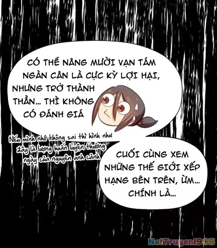 Đỉnh Cấp Khí Vận, Lặng Lẽ Tu Luyện Ngàn Năm Chương 271 Ảnh 74