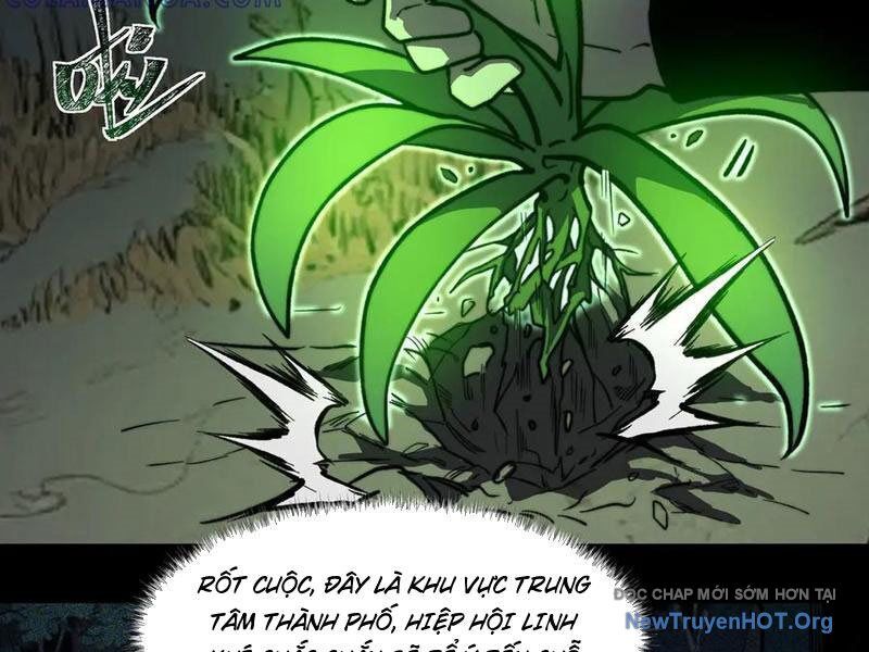 Sau Khi Chia Tay Hoa Khôi, Võ Đạo Của Ta Thẳng Tới Cấp Thần Chương 15 Ảnh 25