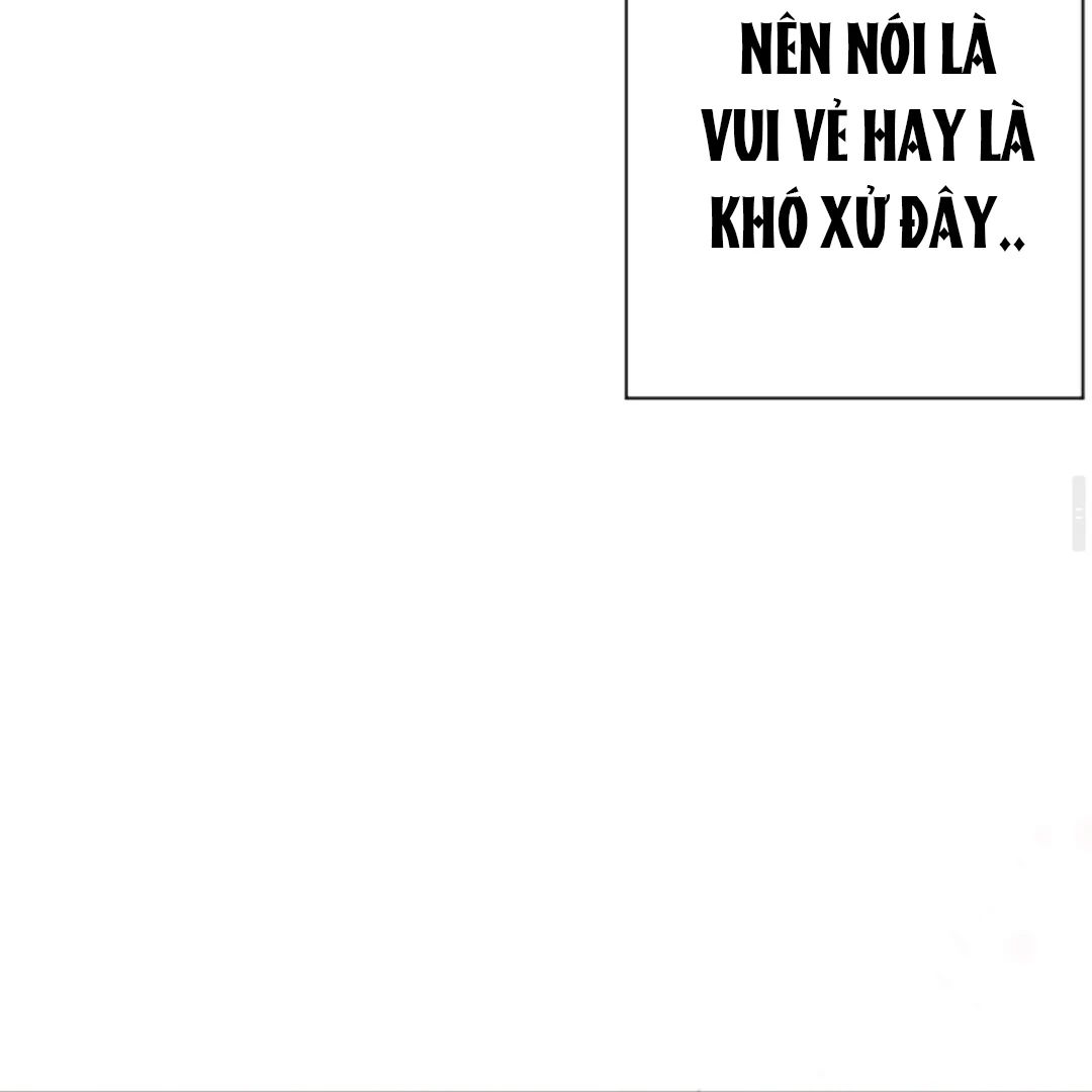 Decibel Nhịp Tim Chương 11 Ảnh 45
