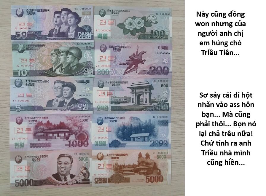 Hổ Đến Chơi Nhà (Puchimasu Miếu) Chương 159 Ảnh 17