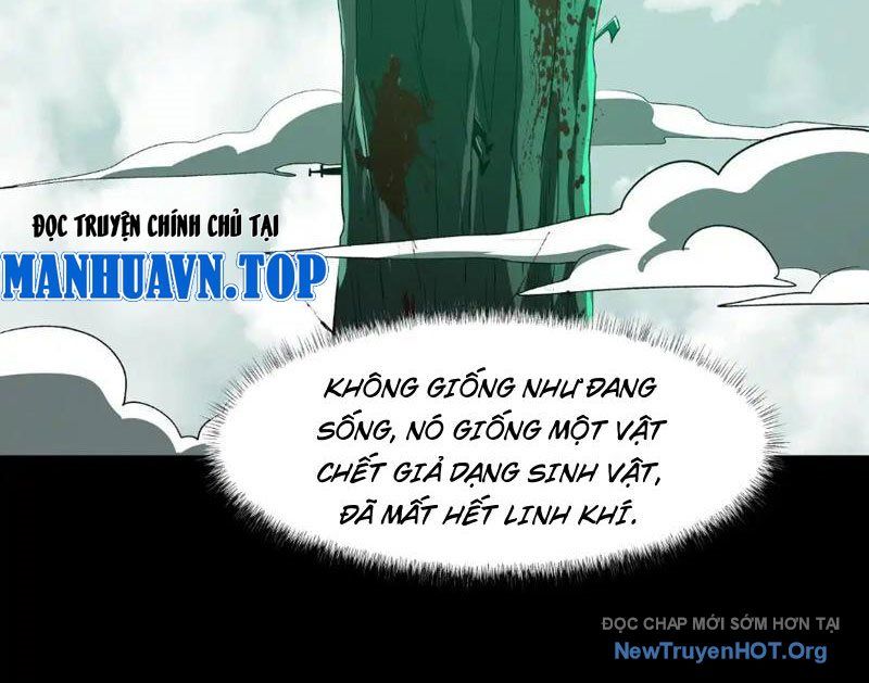 Sau Khi Chia Tay Hoa Khôi, Võ Đạo Của Ta Thẳng Tới Cấp Thần Chương 13 Ảnh 29