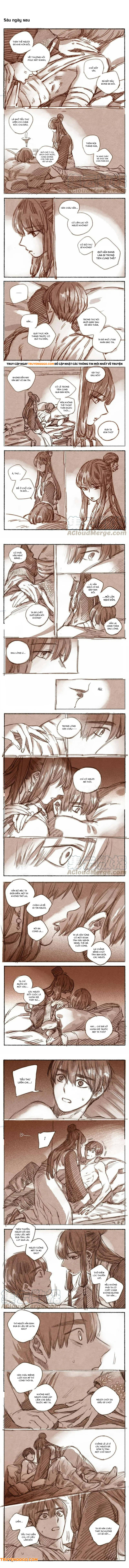 Nhược Phong Chi Thanh Chương 28 Ảnh 3