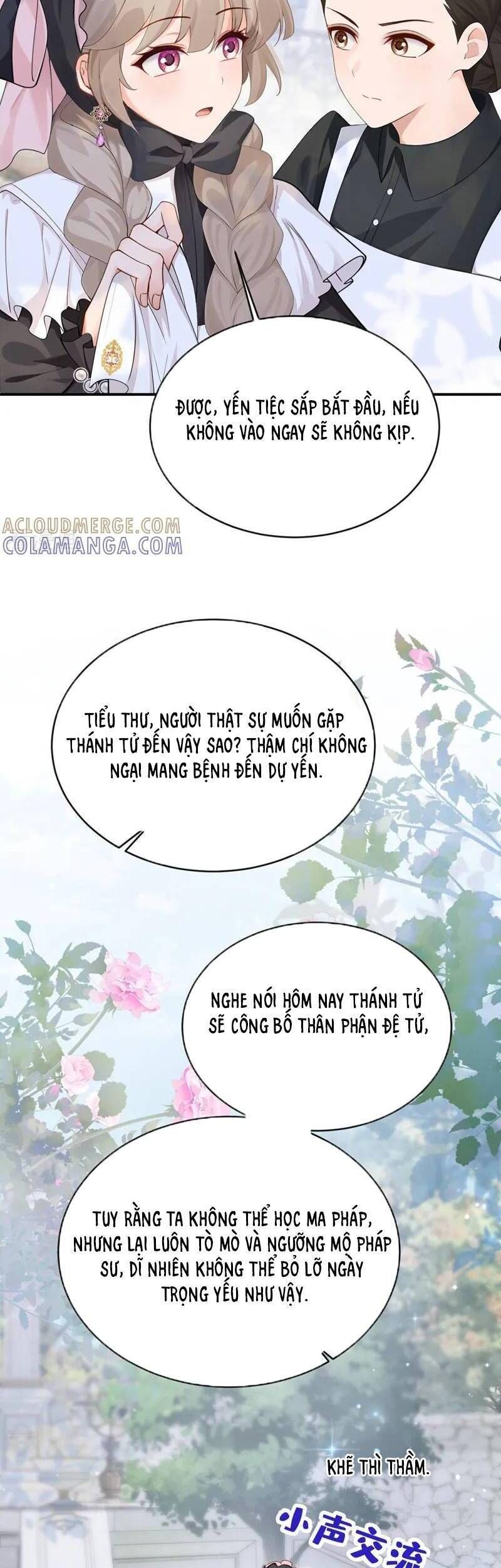 Sau Khi Nhường Lại Thiên Phú, Ta Trở Thành Bảo Bối Của Giới Pháp Thuật Chương 40 Ảnh 23