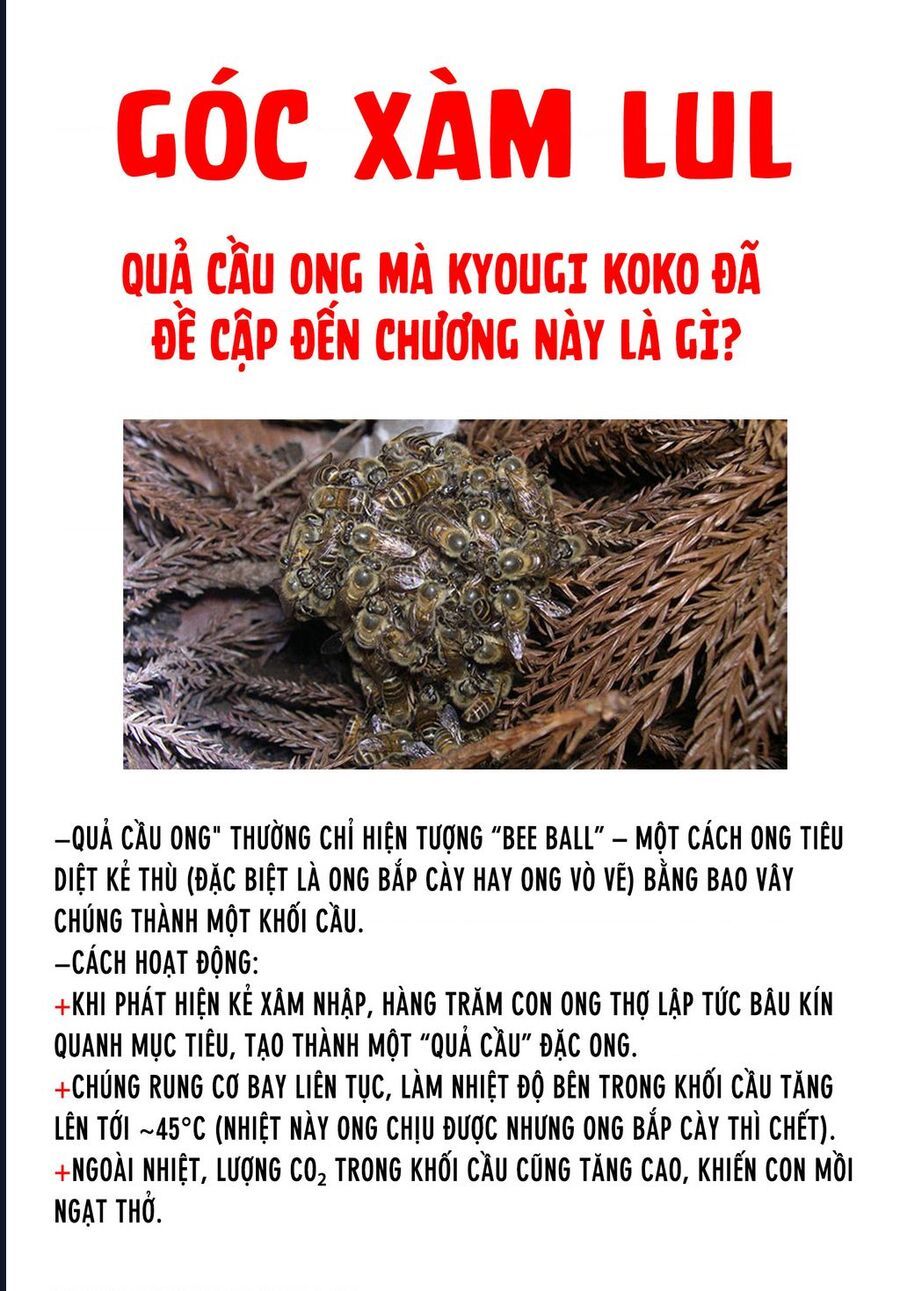 Kanan-Sama Wa Akumade Choroi Chương 115 Ảnh 11