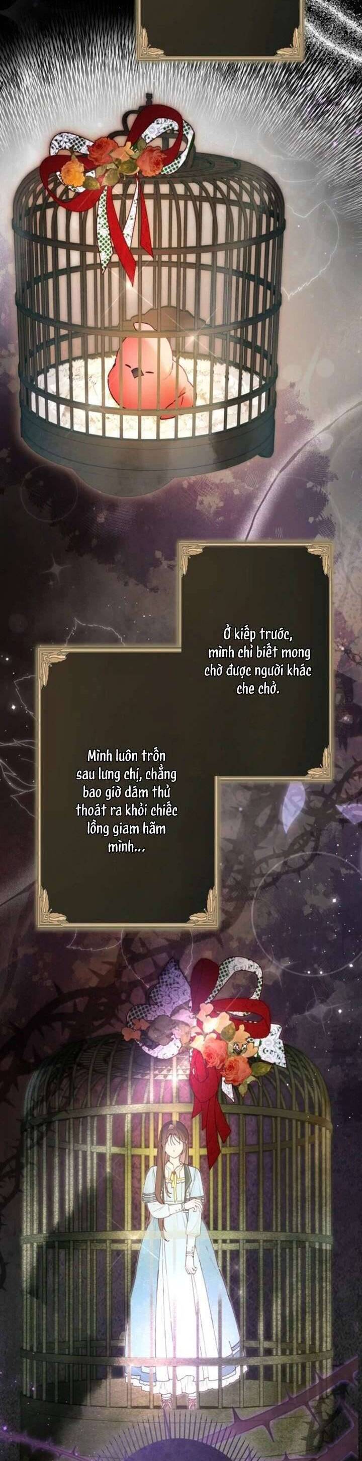 Kiếp Này Em Sẽ Không Sống Dưới Cái Bóng Của Người Chị Song Sinh Chương 6 Ảnh 13
