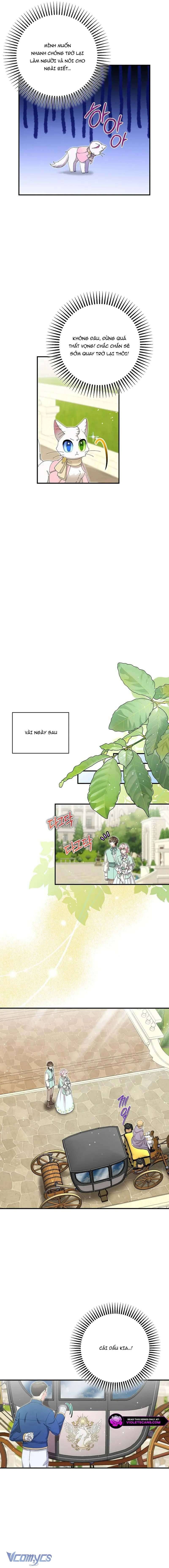 Trở Thành Miêu Nữ Của Hoàng Đế Chương 52 Ảnh 5