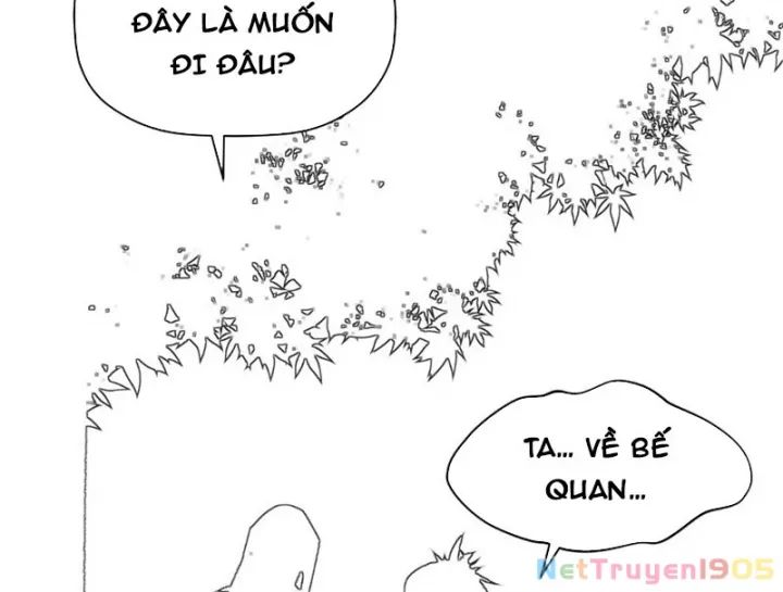 Đỉnh Cấp Khí Vận, Lặng Lẽ Tu Luyện Ngàn Năm Chương 276 Ảnh 27