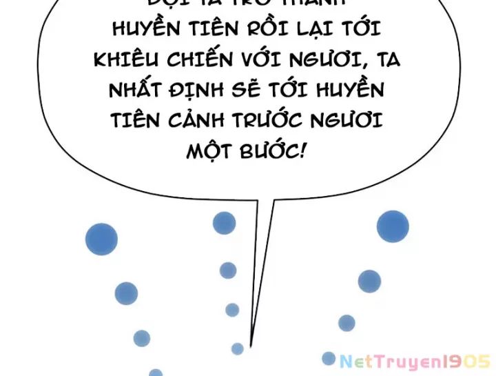 Đỉnh Cấp Khí Vận, Lặng Lẽ Tu Luyện Ngàn Năm Chương 276 Ảnh 12