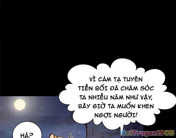 Đỉnh Cấp Khí Vận, Lặng Lẽ Tu Luyện Ngàn Năm Chương 276 Ảnh 99