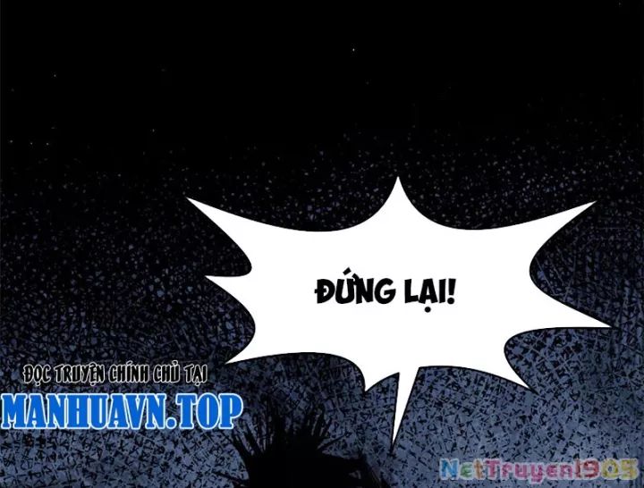 Đỉnh Cấp Khí Vận, Lặng Lẽ Tu Luyện Ngàn Năm Chương 276 Ảnh 6
