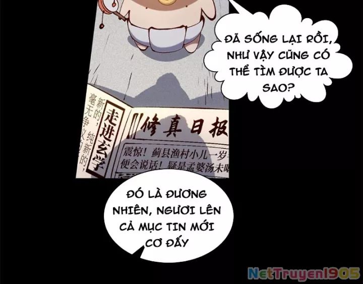 Đỉnh Cấp Khí Vận, Lặng Lẽ Tu Luyện Ngàn Năm Chương 276 Ảnh 90